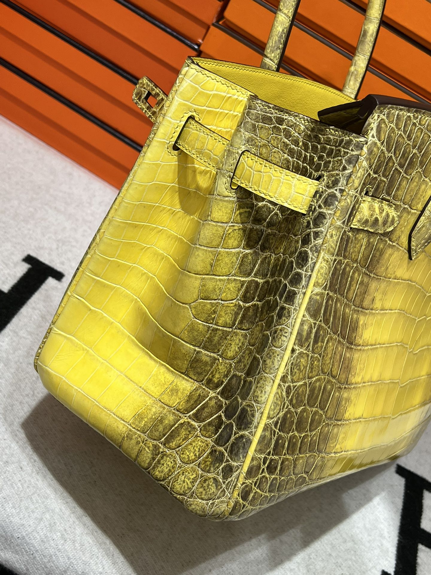 Birkin-Crocodile skin