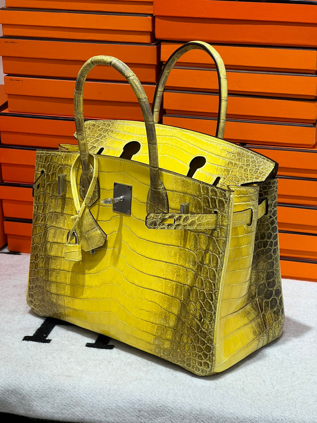 Birkin-Crocodile skin