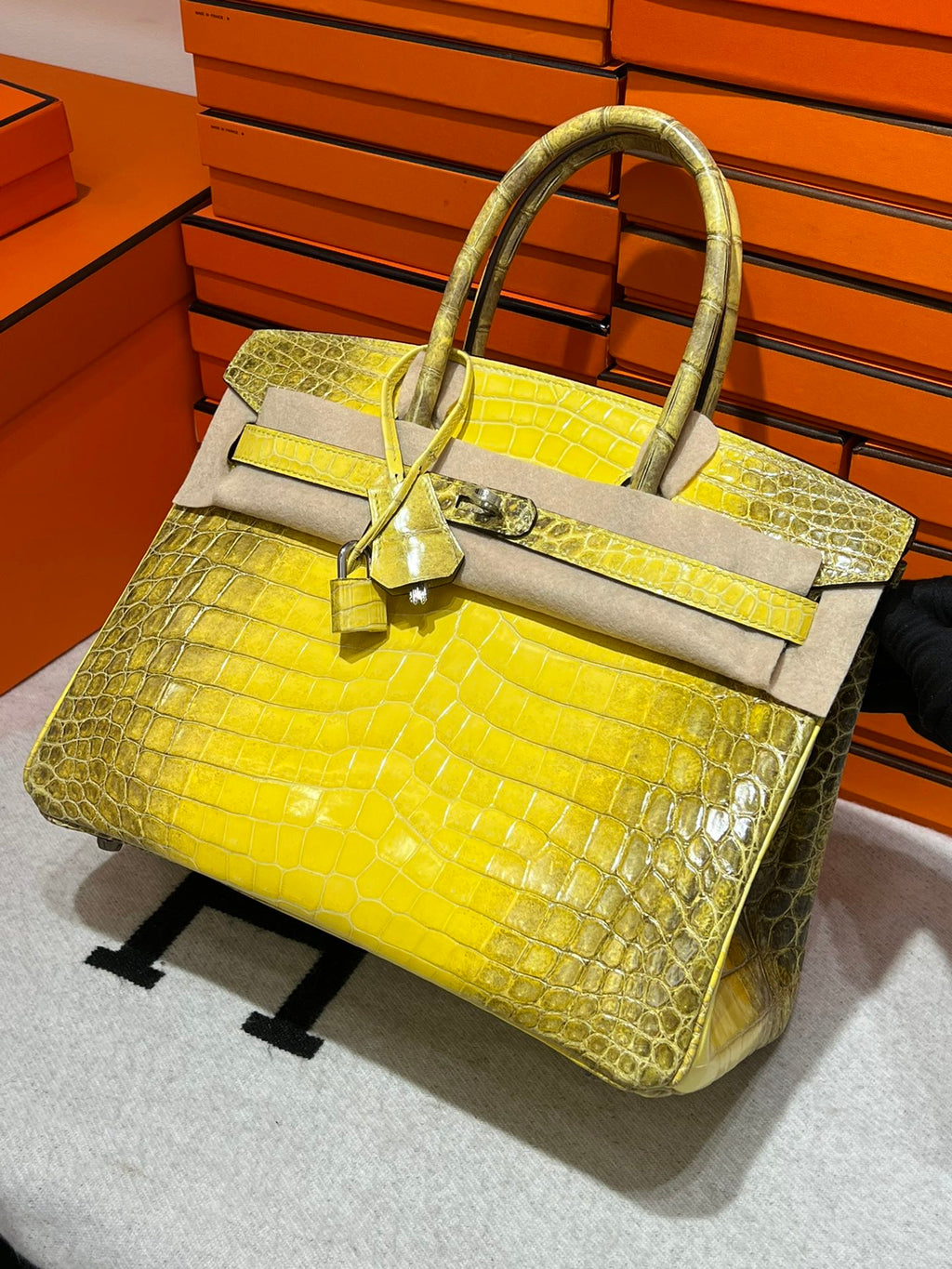 Birkin-Crocodile skin