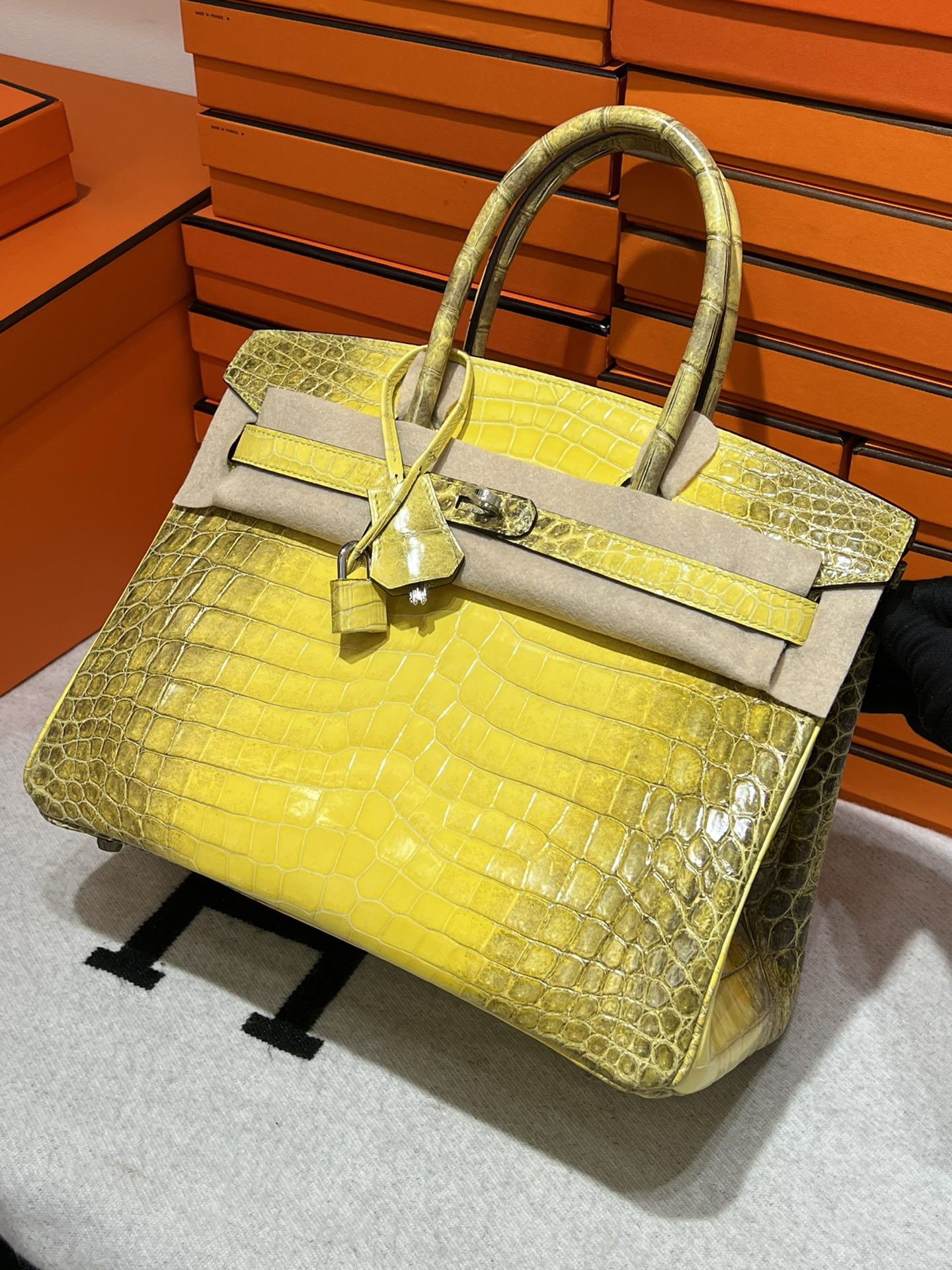 Birkin-Crocodile skin