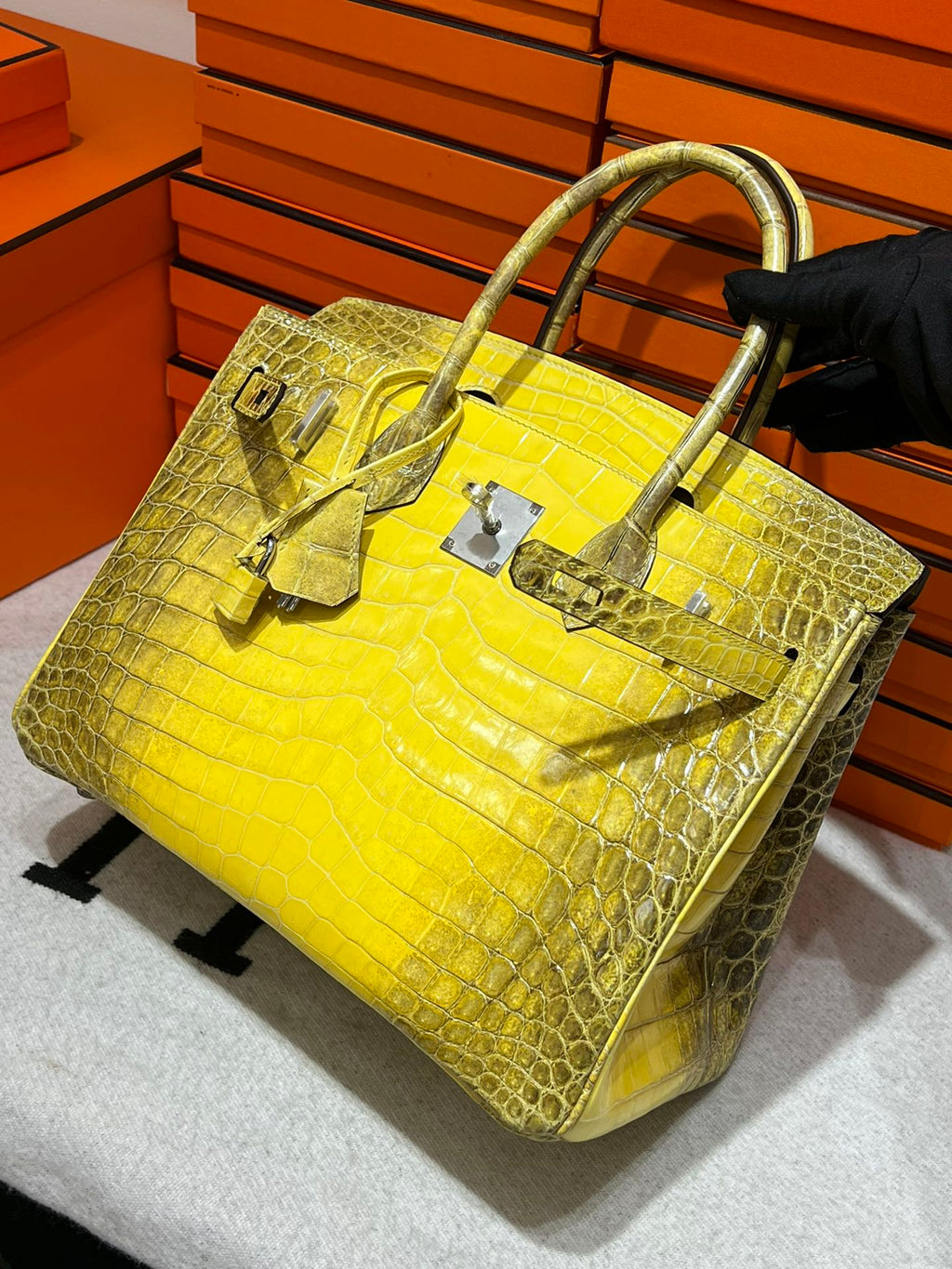 Birkin-Crocodile skin