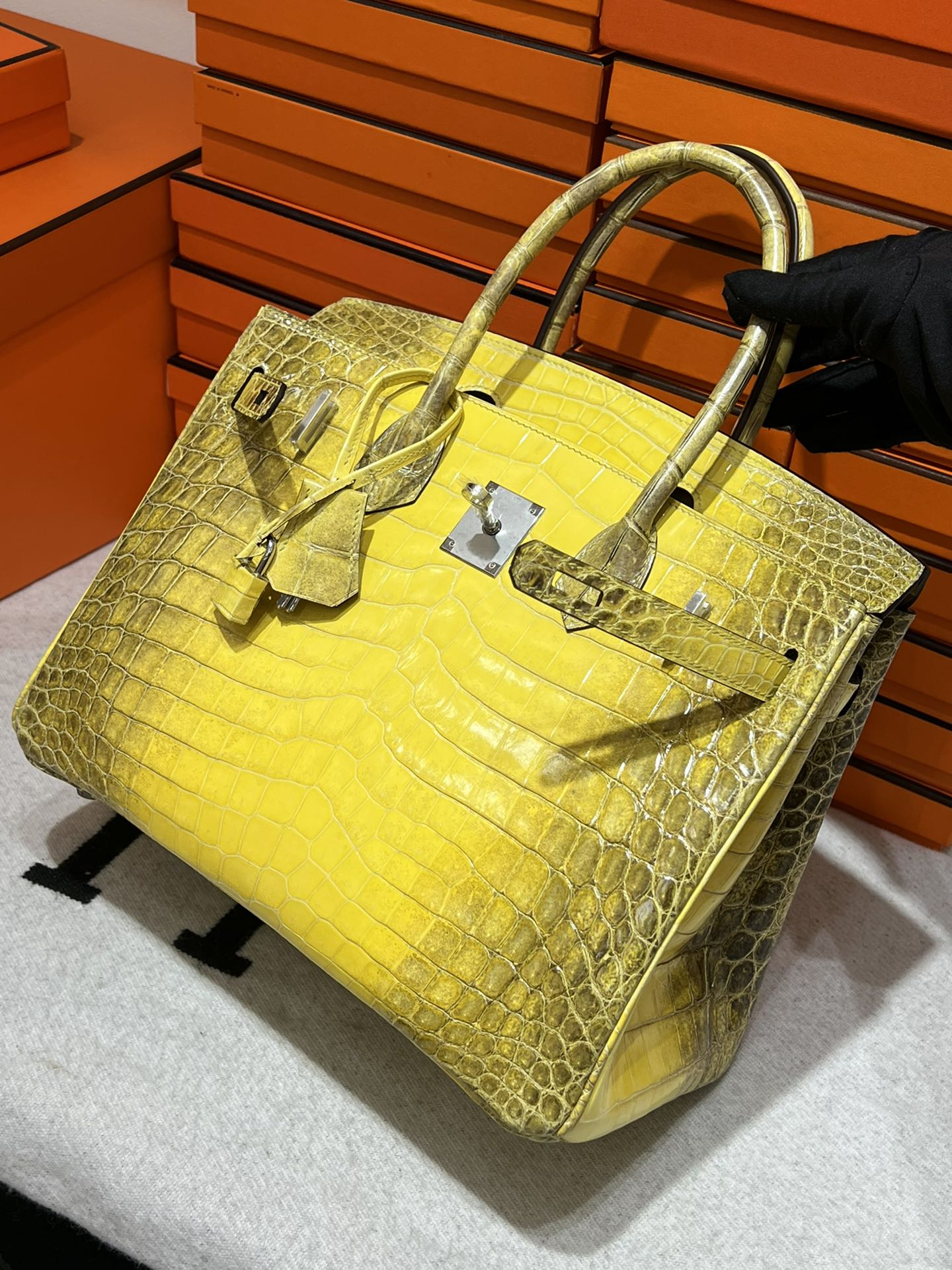 Birkin-Crocodile skin