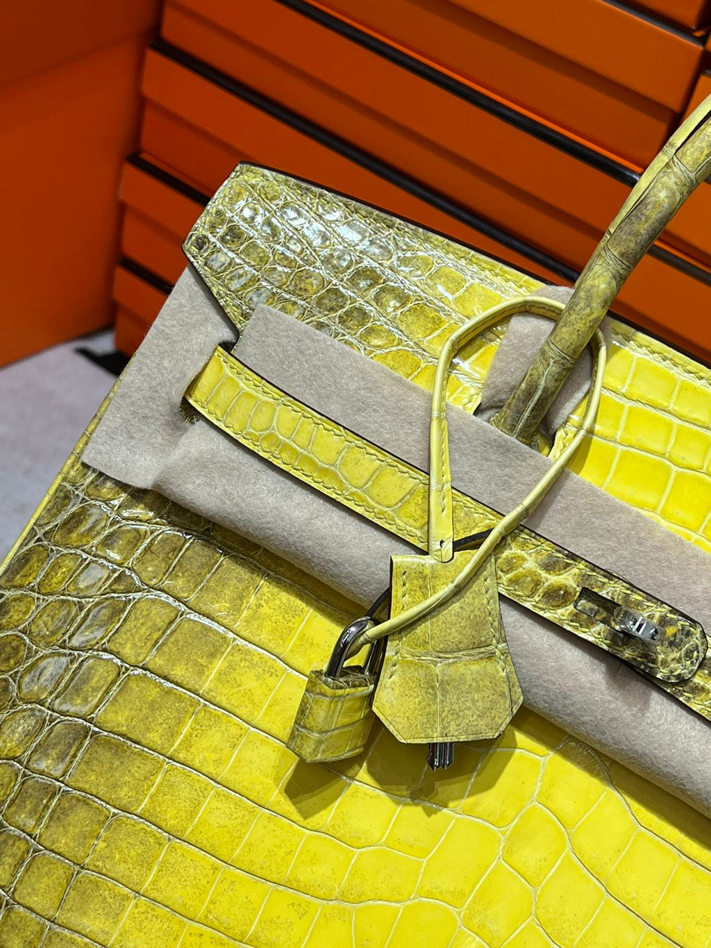 Birkin-Crocodile skin