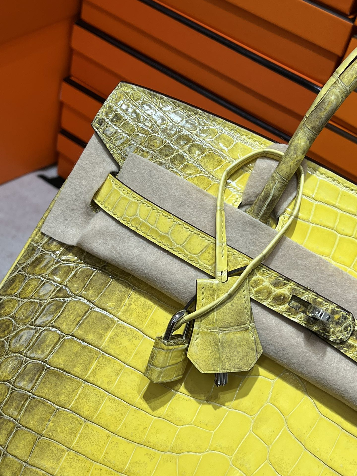 Birkin-Crocodile skin