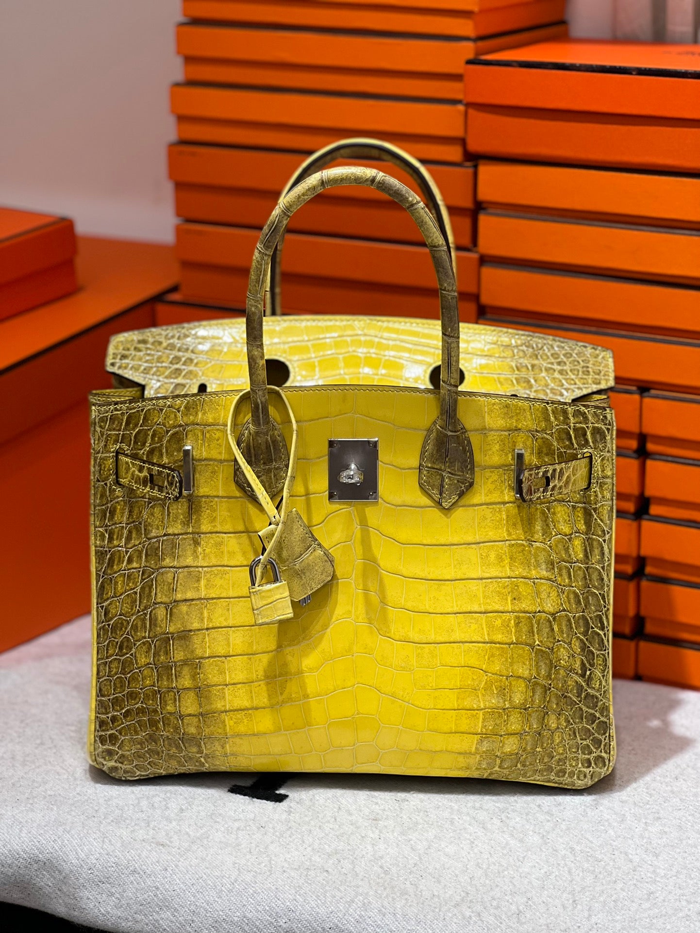 Birkin-Crocodile skin