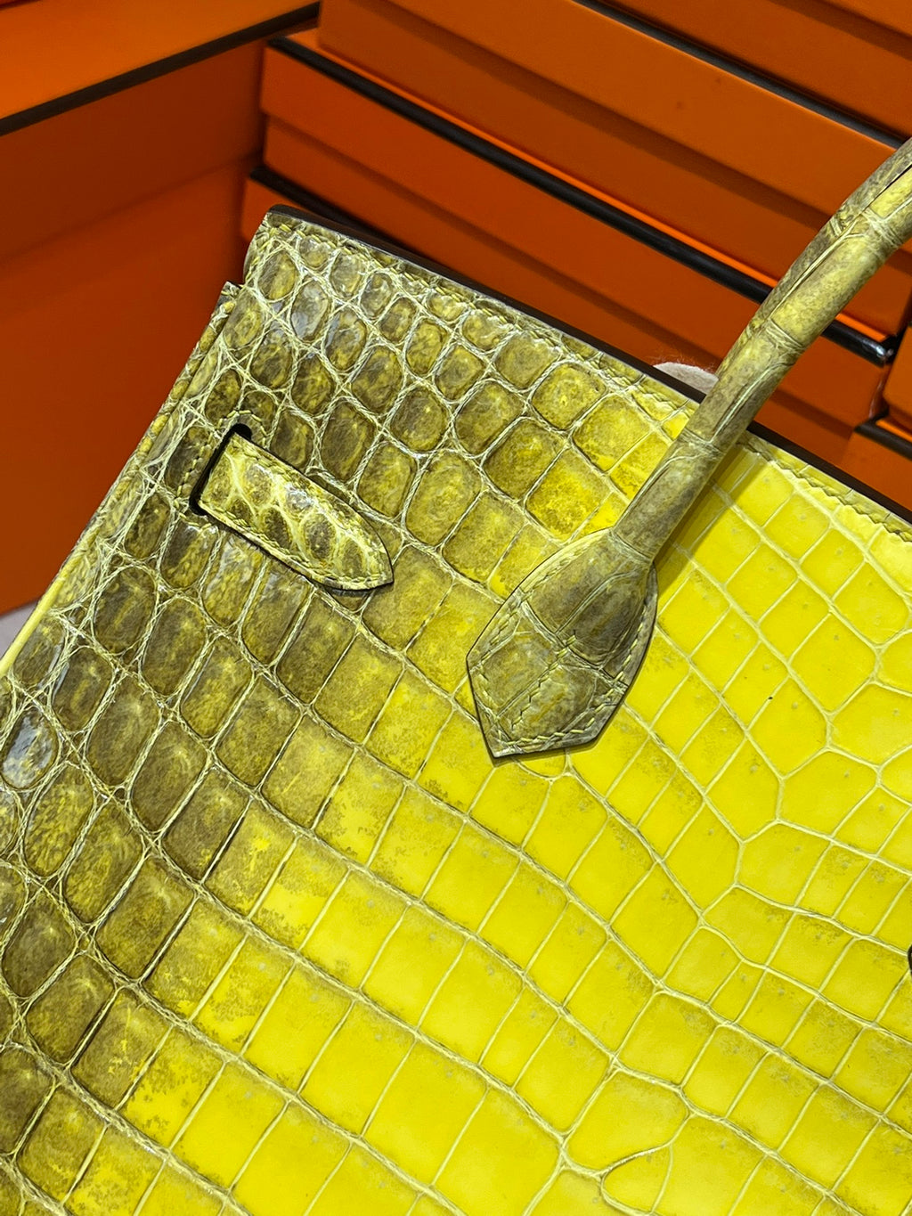 Birkin-Crocodile skin