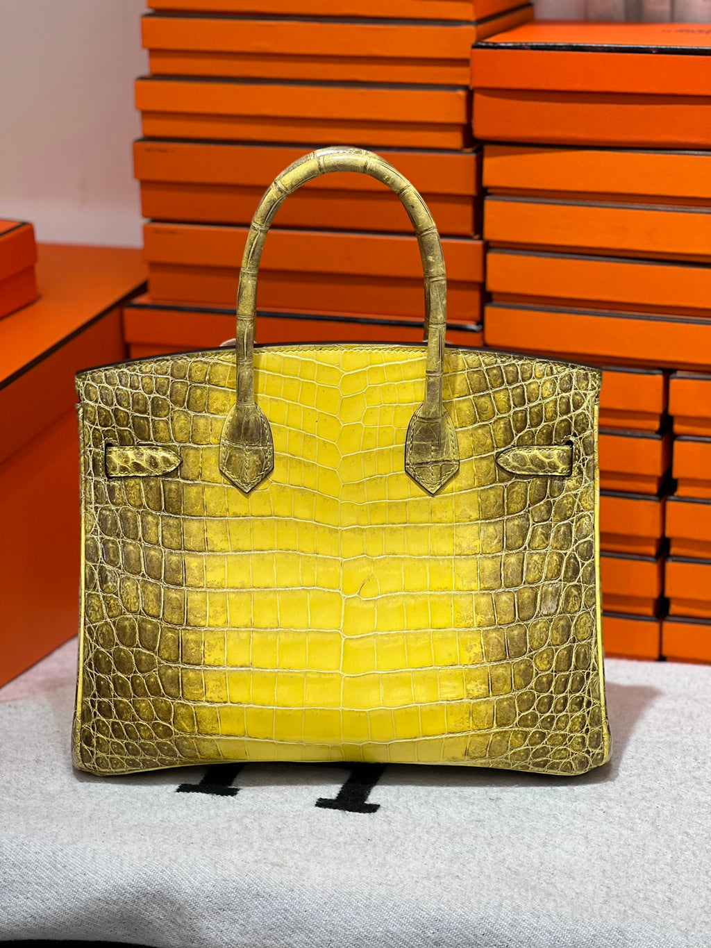Birkin-Crocodile skin