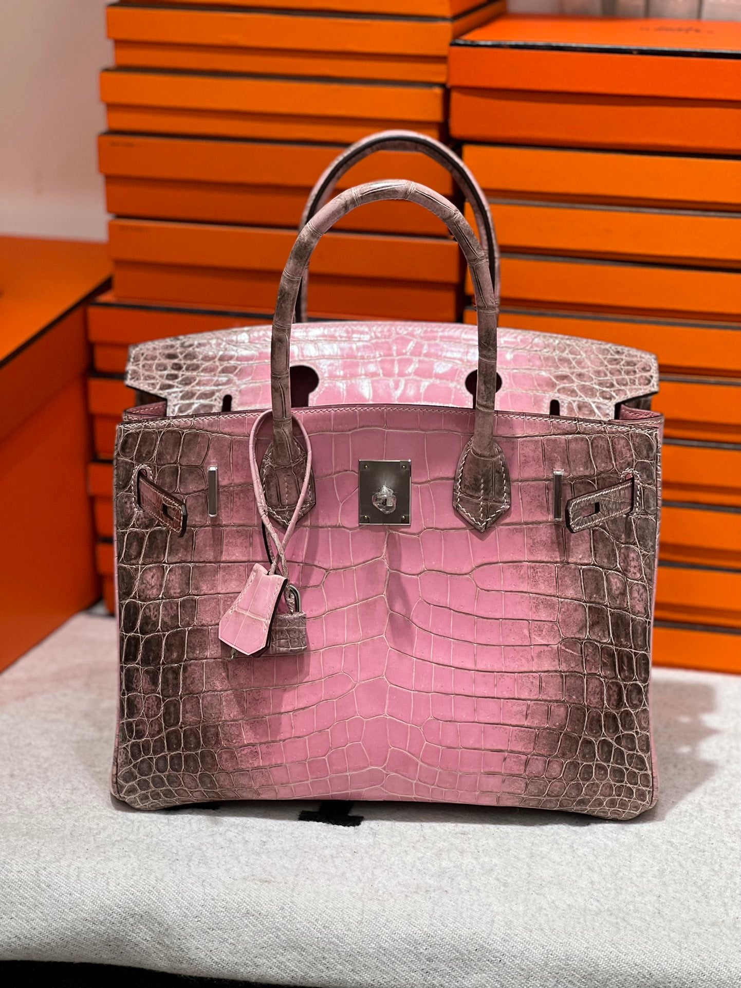 Birkin-Crocodile skin