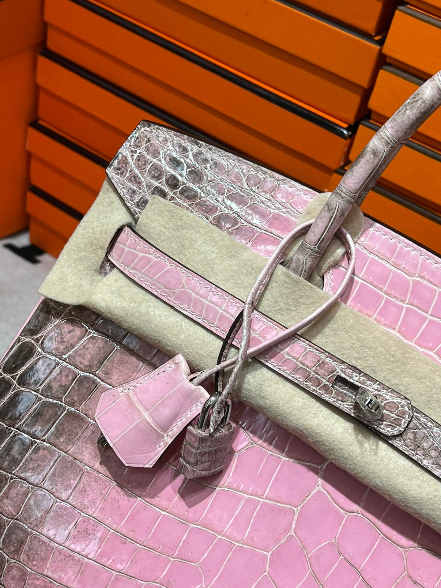 Birkin-Crocodile skin