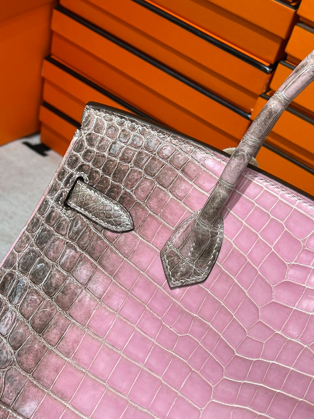 Birkin-Crocodile skin