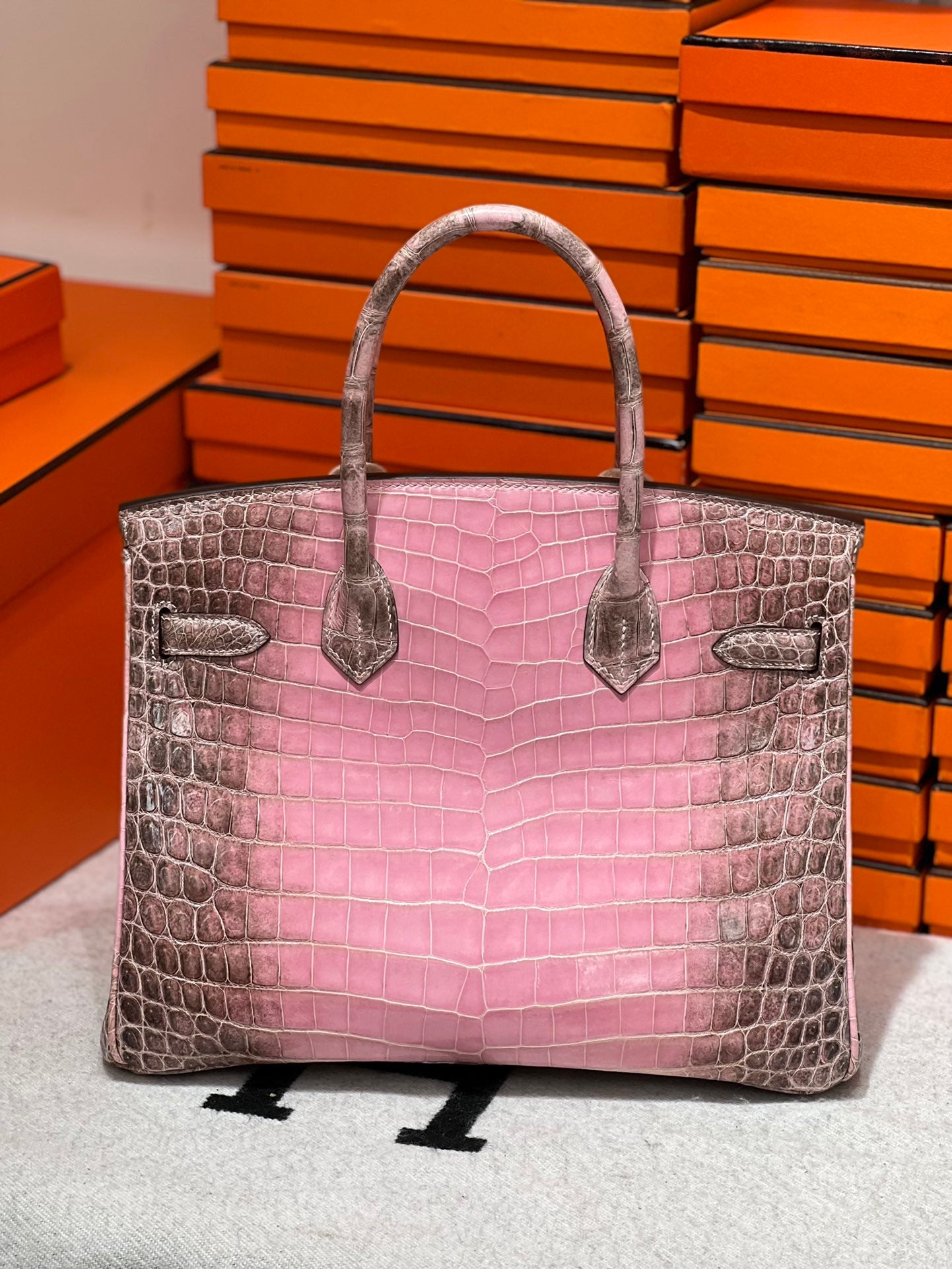 Birkin-Crocodile skin