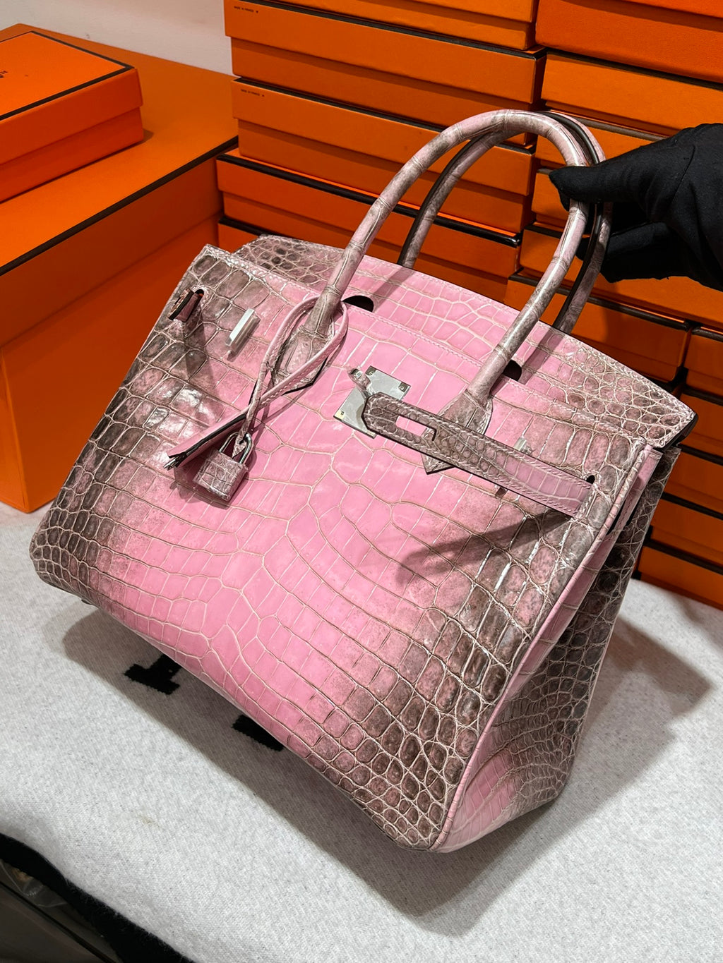 Birkin-Crocodile skin