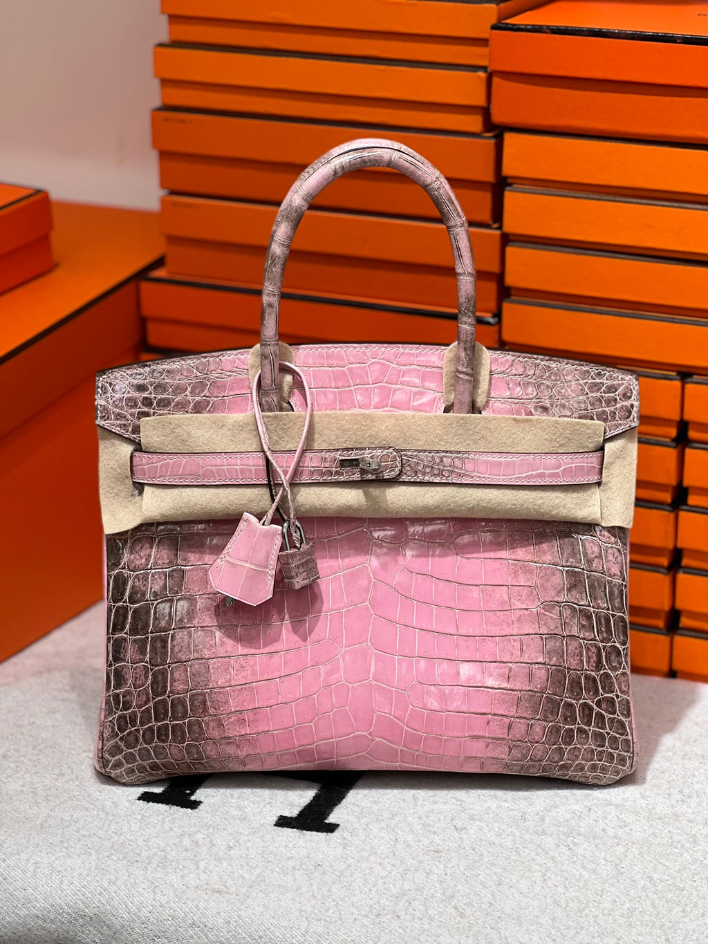 Birkin-Crocodile skin