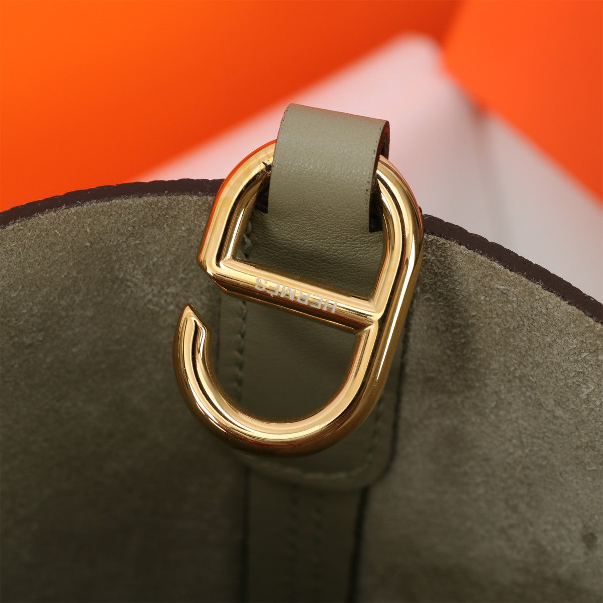 loop-Taurillon Clemence